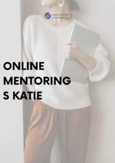 Online mentoring s Katie